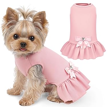 strapless open back dress Autumn Bless Cotton Linen Ruffle Sleeve Pocket Dress for Small Dogs – Petto  Vogue main image 0
