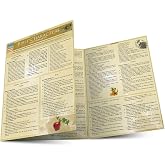 Bible Characters: Old Testament