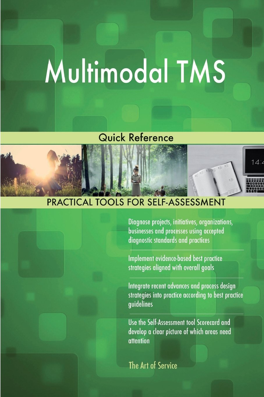 Multimodal Tms Quick Reference Gerard Blokdyk 9781979232425 - multimodal tms quick reference paperback october 30 2017