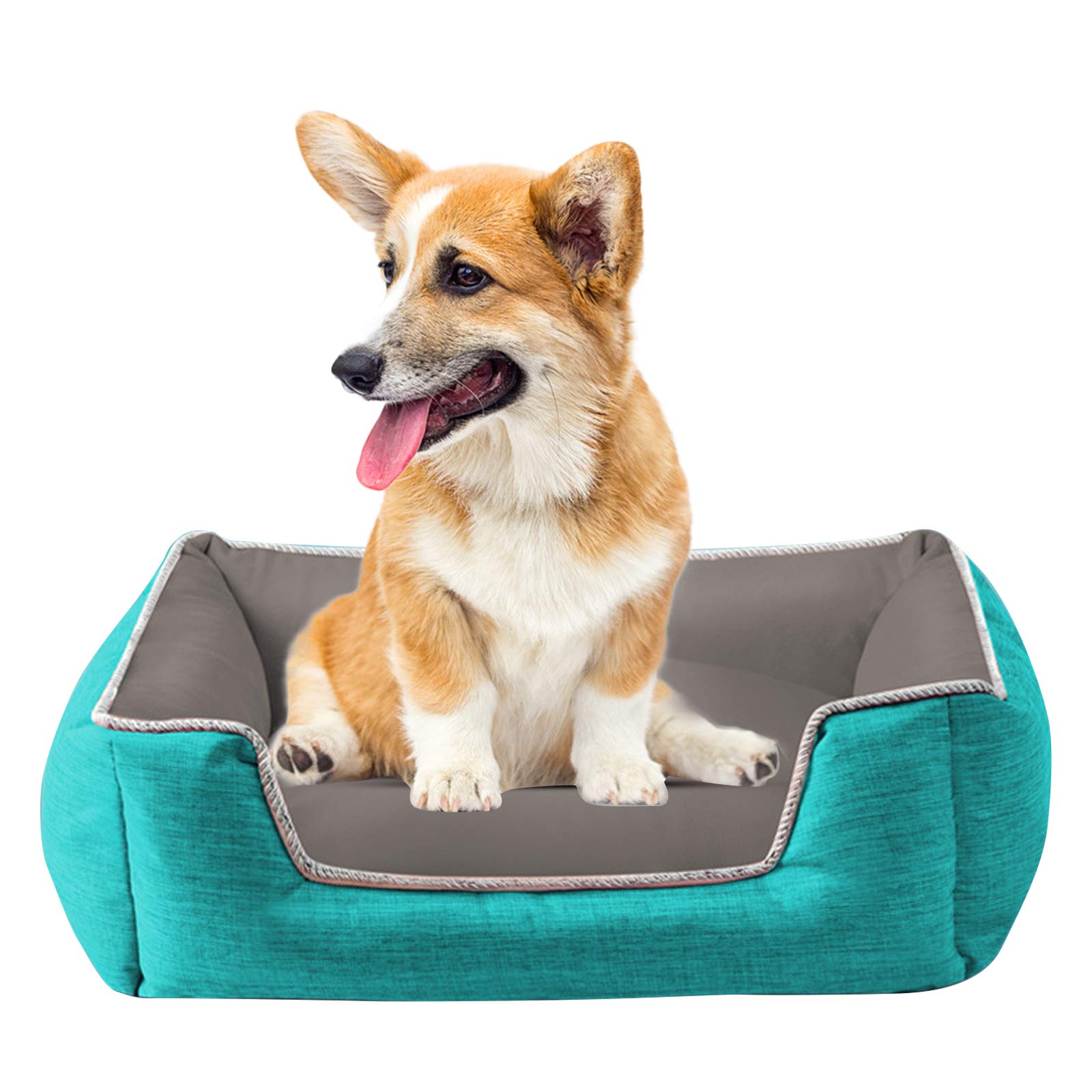 PETCUTE Dog Bed Large Washable Cat Beds for Indoor Cats Pet Bedding Improved Sleep Cat Cushion for Large Cats Dog