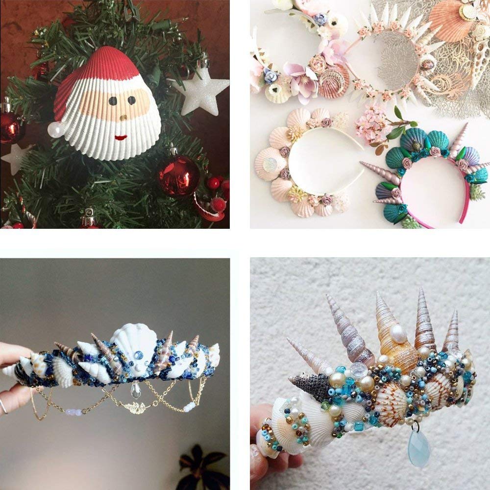 LoveInUSA Sea Shell Assortment, Sea Shells with Jar Mixed Natural Beach Decorative Seashells for DIY Home Gifts Crafting 50~70 PCS Valentine\'s Day Gifts