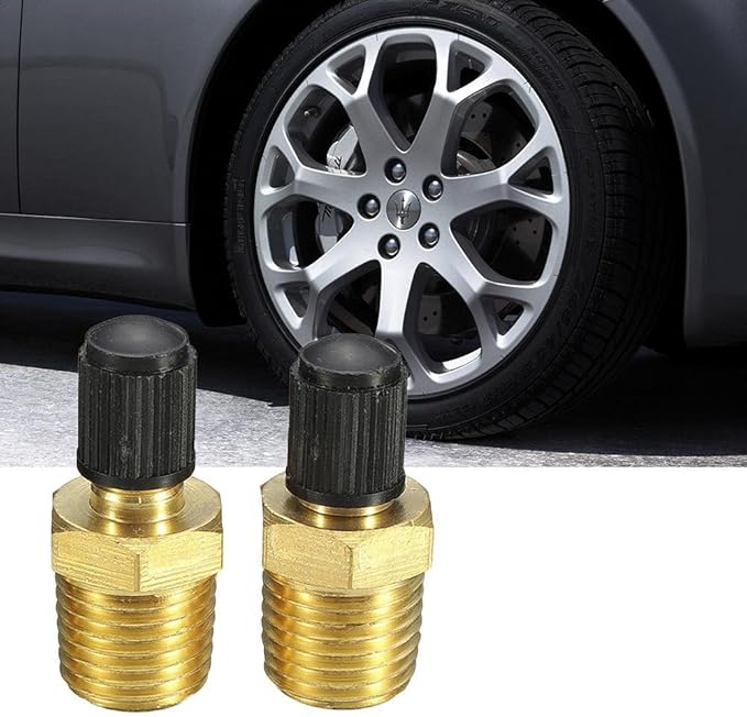 airiver 2 Pcs Auto Reifen Ventil 1/4" NPT MPT Messing Brass
