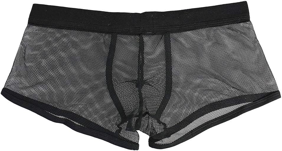 Men's Sexy Lingerie Translucent Mesh Transparent Underwear See Through Boxer Briefs Pouch Soft Underpants