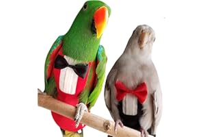 QBLEEV 2 Pack Bird Diapers, Cockatiel Tuxedo Flight Suite, Reusable Parrot Nappy Clothes Costume for Wedding Party Birthday Cosplay Photo, Pigeon Pants Urine Wet Suit for Conure Macaw Budgies Parakeet