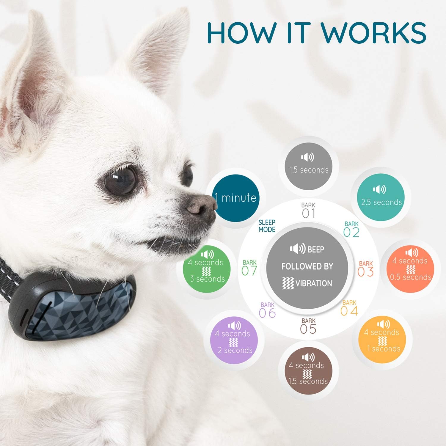 GoodBoy Small Rechargeable Dog Bark Collar for Tiny to Medium Dogs Weatherproof and Vibrating Anti Bark Training Device That is Smallest & Most Safe On  - No Shock No Spiky Prongs! (6+ lbs) : Kitchen & Dining