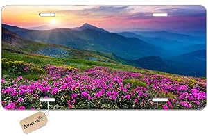 Amcove Nature Pink Rhododendron Flowers on Mountain Scenic Automotive high Gloss Metal License Plate, Aluminum License Plate, Front License Plate - 6" x 12" inch