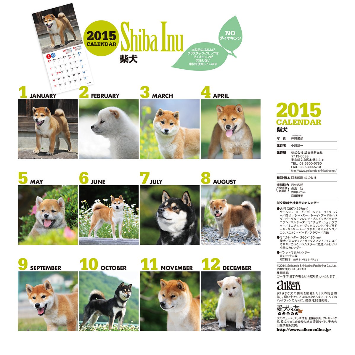 Amazon Co Jp 柴犬 15年大判カレンダー カレンダー 井川 俊彦 本