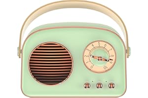 Retro Speaker, Portable Outdoor Speaker, Vintage Decoration, Mini Speakers with Powerful Sound, Built-in Microphone, TF Card 