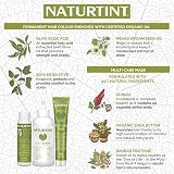 (SIX PACK) Naturtint Permanent Hair Colour 6N Dark Blonde Ammonia Free view 5
