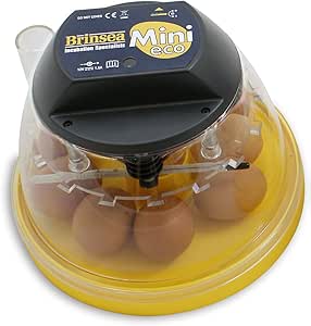 Brinsea mini ii best small egg incubator