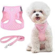Amazon.com : BINGPET Vest Harness for Puppy and Cat, No Pull ...