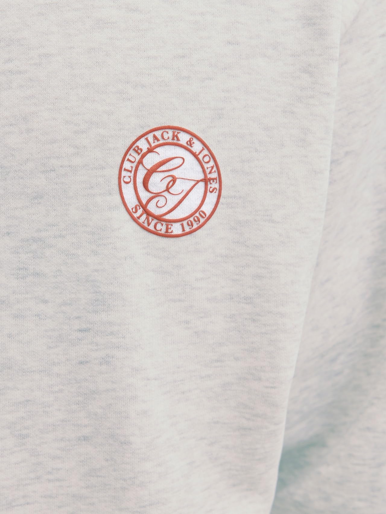 JACK & JONES Jjalliance Sweat Hood 5