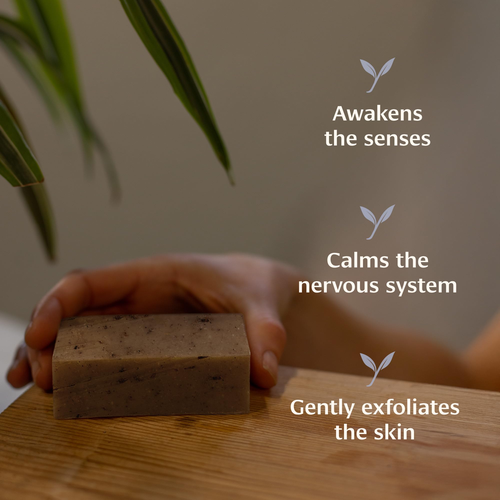 Banyan Botanicals Lavender Soap – Ayurvedic Bar Soap with Rosemary & Lavender Essential Oil – Soothing & Relaxing for a Spa-Like Experience – 4 oz Bar – Free of Sulfates, Phthalates & Parabens