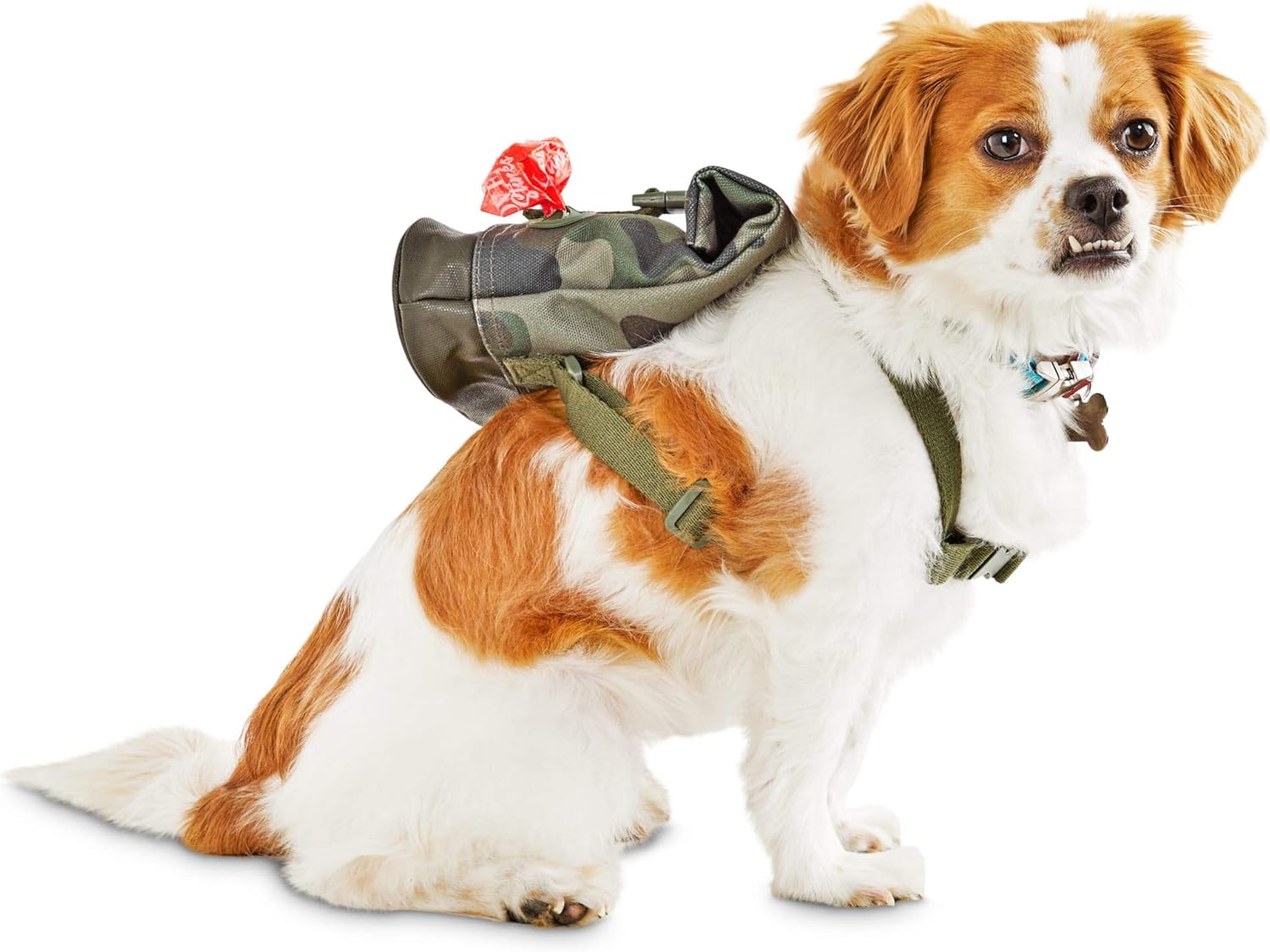 reddy dog bag