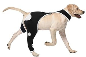 FURTENT Recovery Sleece for Large Dogs, Abrasion Resistant and Waterproof Dog Rear Right Sleeve Onesie for Surgery, Washable and Reflective Material Pets Sleeve to Prevent Licking Wounds L