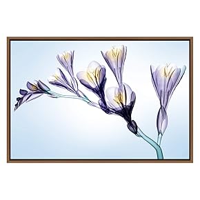 SIGNWIN Framed Canvas Wall Art Lavendar, Yellow and...