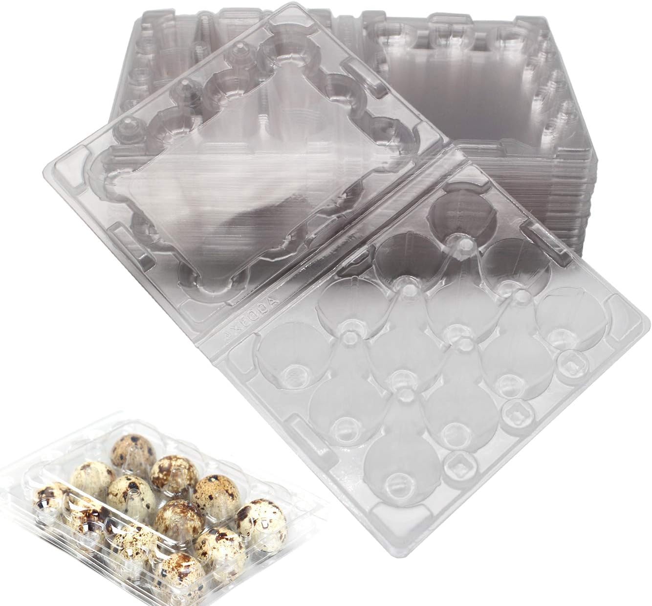 N / A Quail Egg Cartons Each Holds 12 Quail Eggs Bulk