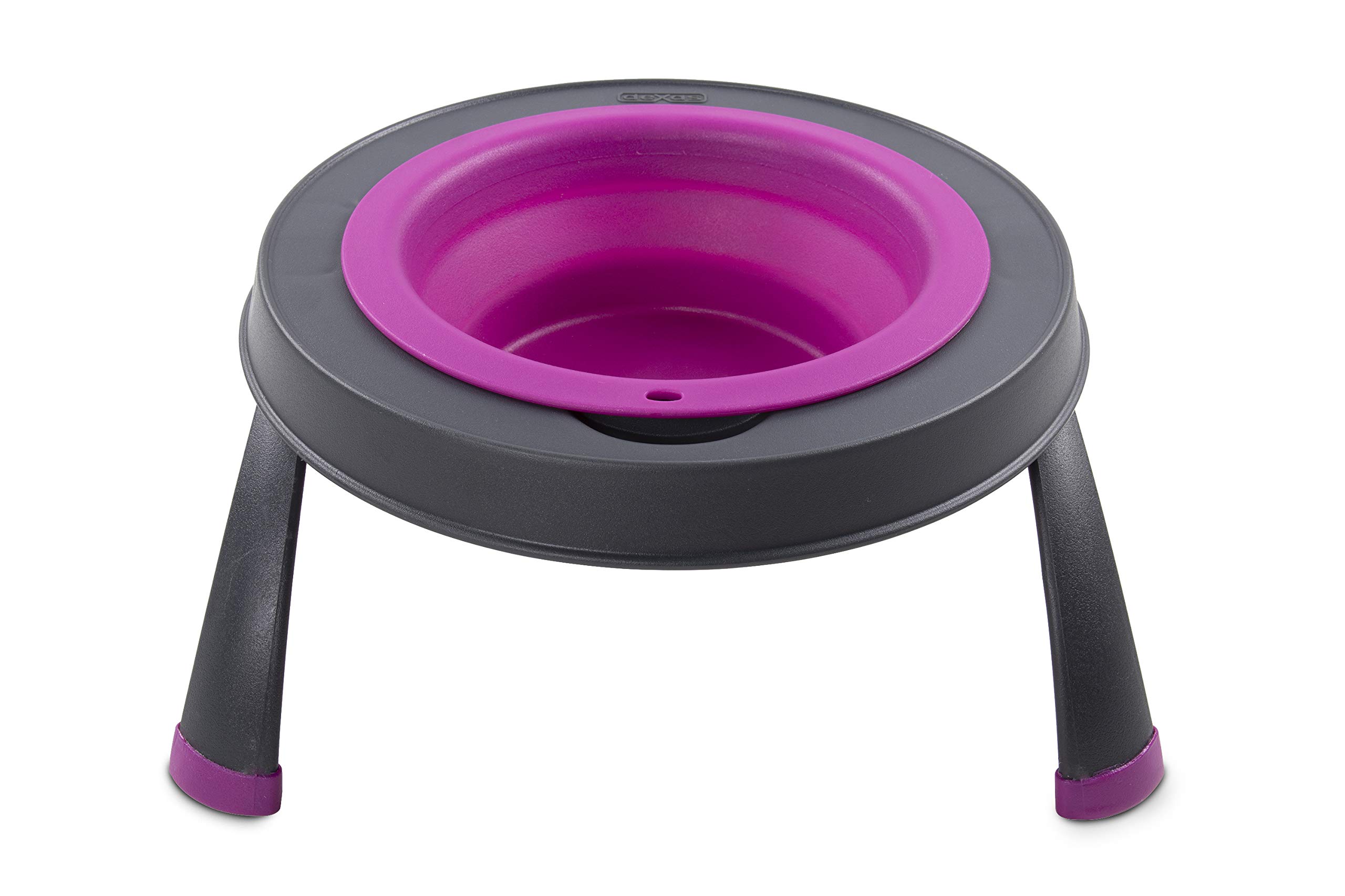 Dexas Pets Single Elevated Pet Feeder/Pet Bowl, 4 Cup Capacity, Fuchsia