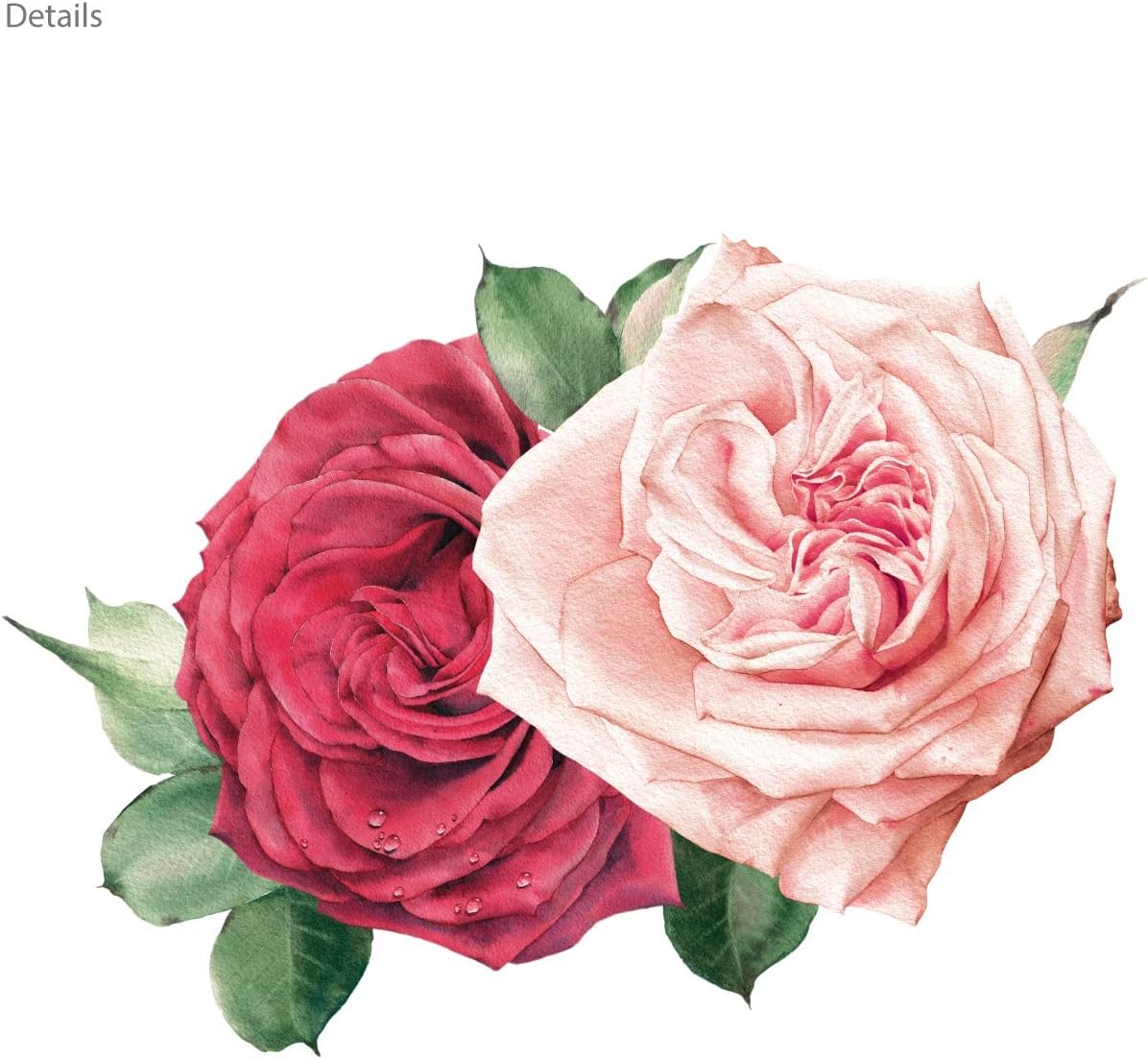 DECOWALL DS4-8041 Watercolour Rose (Small) Kids Wall Stickers Decals Flower Peel and Stick Removable for Nursery Bedroom Living Room Art murals Decorations - Image 5