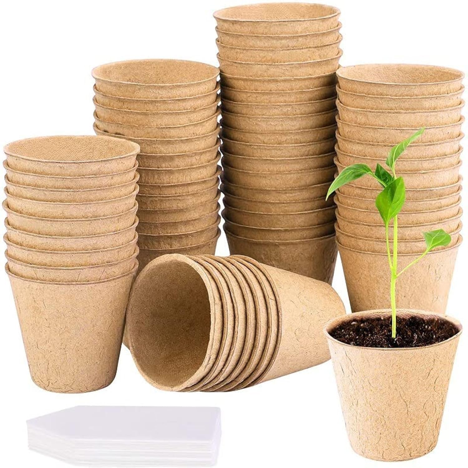 zukent 6CM Round Fibre Plant Pot Biodegradable Seed Pots with White Plastic Plant Labels Gardening Seeding Cups for Growing Vegetables, Fruit, Herb, Flower - 50Set