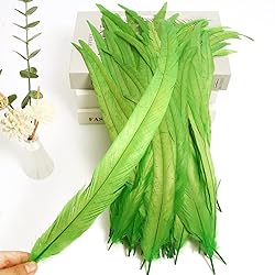 THARAHT 20PCS Rooster Coque Tail Feathers Bulk