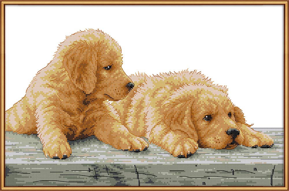 CaptainCrafts New Stamped Cross Stitch Kits Preprinted Pattern Counted Embroidery Starter Kits for Beginner Kids and Adults - Two Dogs Brothers (Counted No Preprint Fabric 14CT)