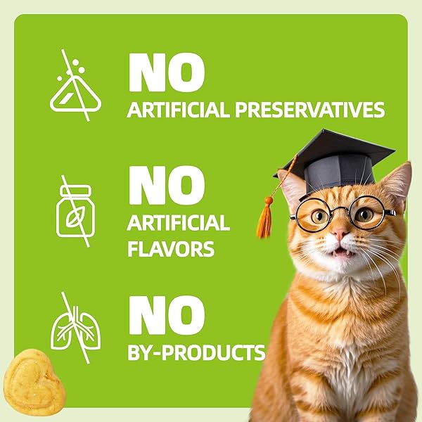 WELLIX 13.5OZ PROBIOTIC HEALTH SUPPLEMENT CAT TREATS FOR INDOOR CATS – CHICKEN FLAVOR KITTEN SNACKS FOR GUT+IMMUNE HEALTH – ADD FOS & INULIN CAT TRAINING BISCUITS