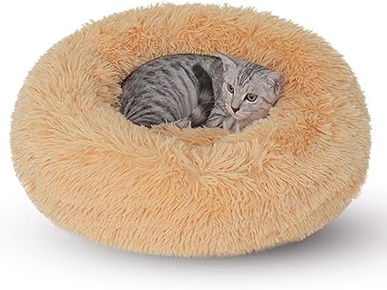 Dancewhale Panier Rond En Peluche Chien Coussin Chat Panier Donut Coussin Pour Lit De Chat Lavable 50cm Beige Amazon Fr Animalerie