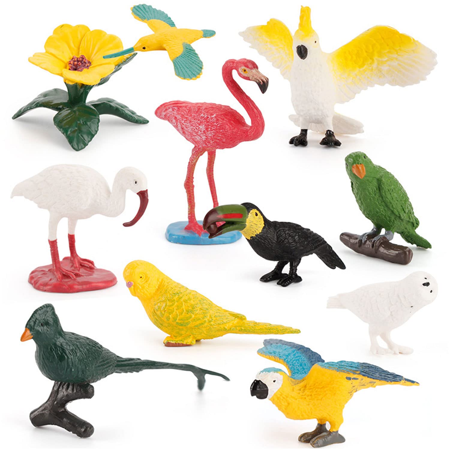 FLORMOON 10pcs Small Bird Toy Realistic Animal Figure Early Educational Toys Science Project Christmas Birthday Gift for Kids