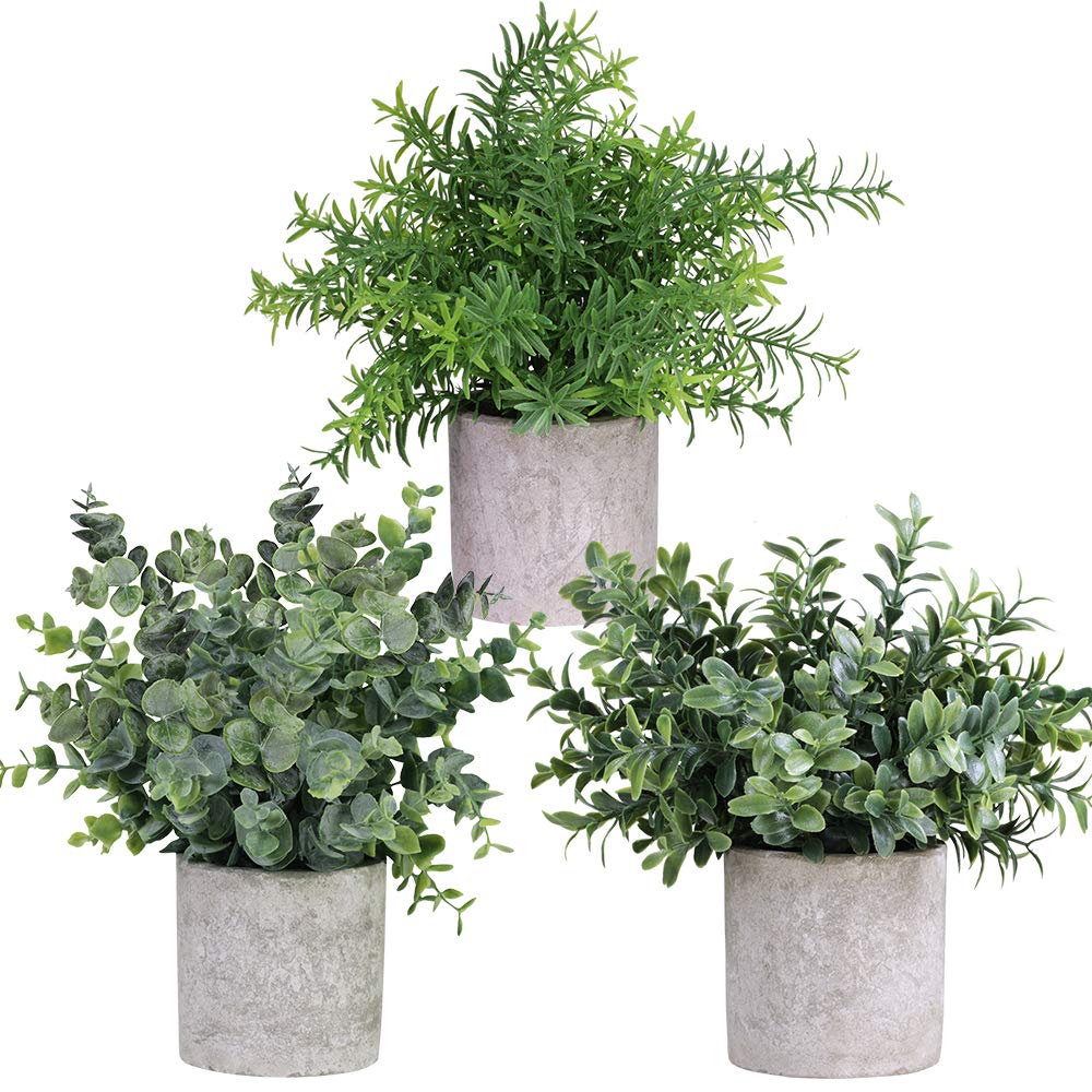 Photo 1 of Winlyn Mini Potted Plants Artificial Eucalyptus Boxwood Rosemary Greenery in Pots Faux Potted Herbs Small Houseplants 8.3"-9" Tall for Indoor Greenery Tabletop Décor Centerpiece 3 Pack