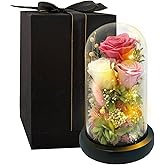 HipTree Preserved Pink Rose in Glass Dome with LED Lights - Forever Eternal Real Rose Gifts for Women, Valentines Day Mothers Day Birthday Christmas Gift Wedding Anniversary for Mom Wife Girlfriend