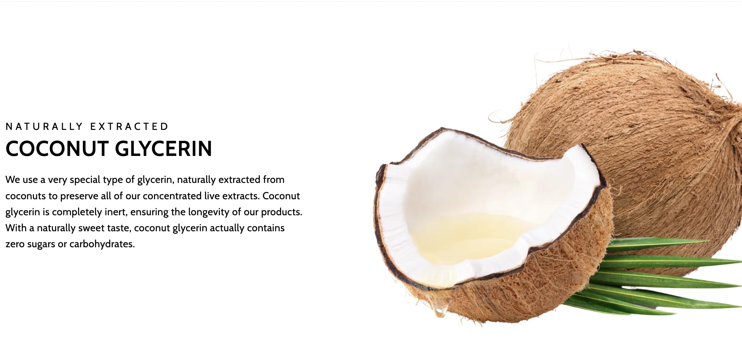 Raw Earth Live Turmeric Root Extract - Organic Ingredients - Alcohol Free - BioActive Curcumin Liquid Drops - Patented Process with Fulvic Mineral Transport System