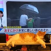 カスタマー画像