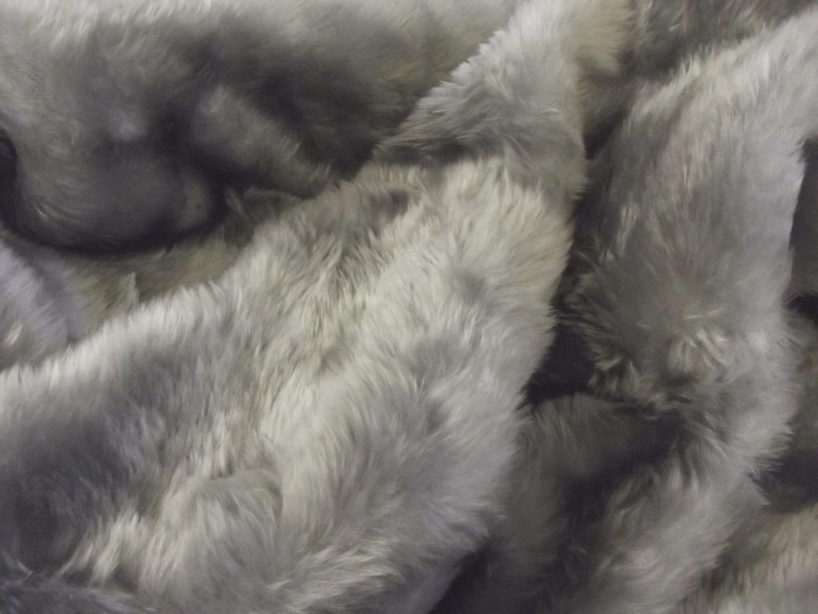Short Plush Care Bear Faux Fur Fabric Material - Silver Fox, 1/4Mtr - 75cmx50cm