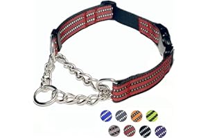 PUROAYET Martingale Dog Collars, Reflective Nylon Collar with Stainless Steel Chain, Adjustable Walking Training Dog Collars with Quick Release Buckle, Suitable for Small Medium Large Dogs(Red,L)
