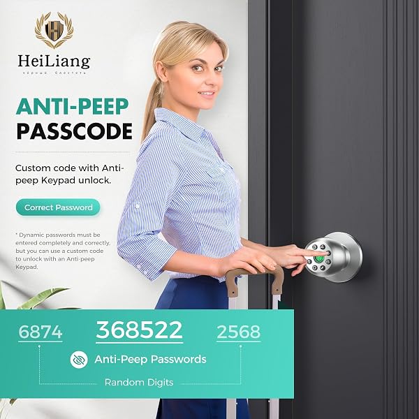 HEI LIANG FINGERPRINT DOOR LOCK, BIOMETRIC SMART DOOR KNOB, WITH KEYPAD AND APP CONTROL, KEYLESS DOOR LOCK, SUITABLE FOR BEDROOMS, OFFICES, HOTELS, APARTMENTS, EASY TO INSTALL. (SILVER HL-10