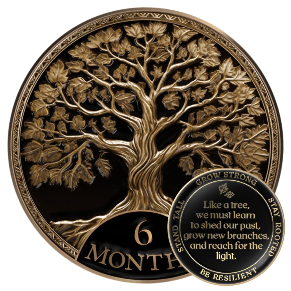 MilestoneMint Affirmation Sobriety Coin Gift Set