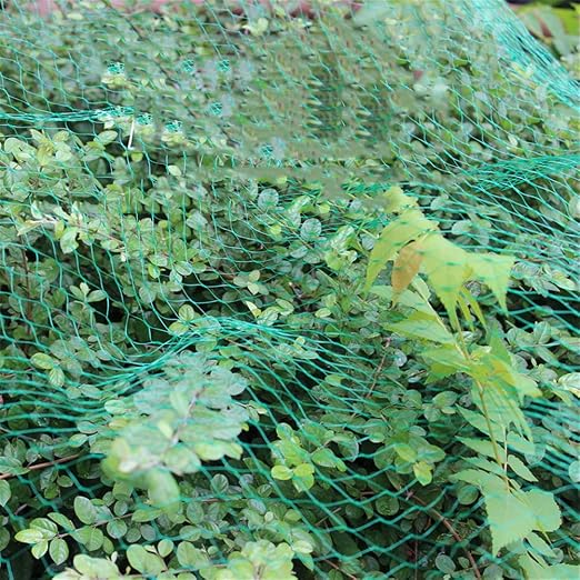 GFYWZ Red de protección antipájaros para pájaros de jardín, para ...