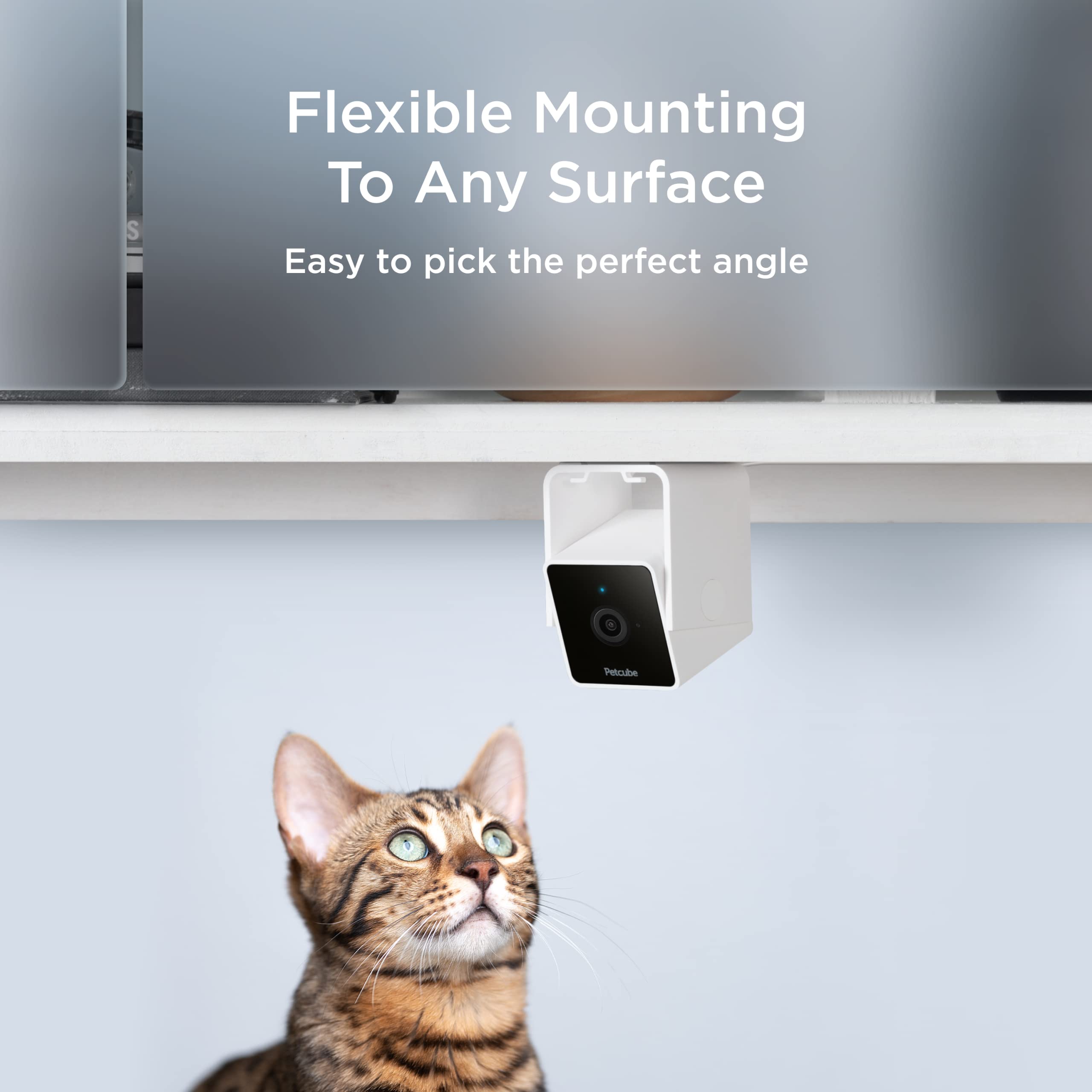Cam with Play 2 Bundle | Play 2 Camera with Laser Toy, 1080p HD Video, Night Vision, Two-Way Audio, Sound and Motion Alerts, Cat and Dog Monitor