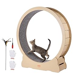 VEVOR Cat Exercise Wheel, 52" Large Cat Treadmill