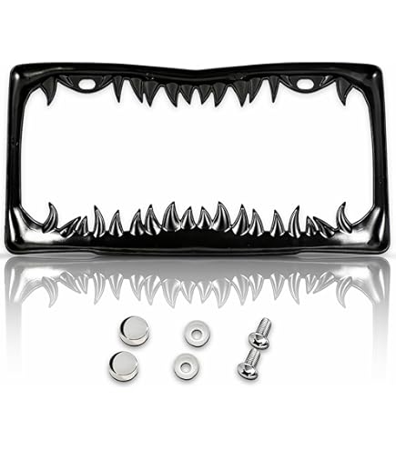 カスタムフレーム●扁額●450×1020mm★シャンパンG★高級別注★ Amazon.com: GG Grand General 60468 Chrome and Black Spider Web