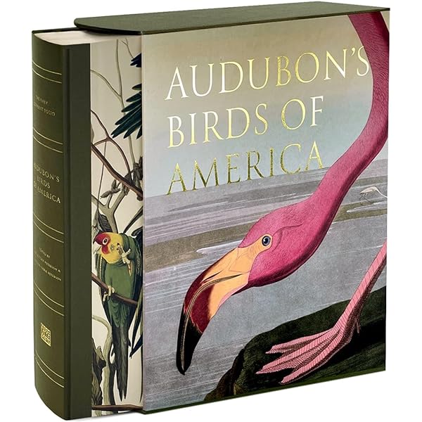 The Birds of America: The Bien Chromolithographic Edition