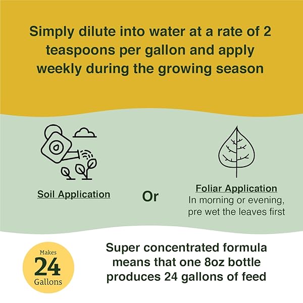 FARMER’S SECRET TOMATO BOOSTER FERTILIZER (8OZ) – SUPER CONCENTRATED – 3:8:7 RATIO FORTIFIED WITH HUMIC ACID, IRON AND CALCIUM – GROW MORE TOMATOES