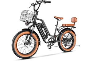 BLUEBIKO 2 Seater Electric Bike, 48V 20AH(𝟗𝟔𝟎𝐖𝐇) Large Removable Battery, 𝟏𝟑𝟎𝟎𝐖 Peak Motor, 20"x 4.0" Fat Tire Ebike for Adults, 80+Miles Max,30+MPH, City Couple E Bike for All Terrain