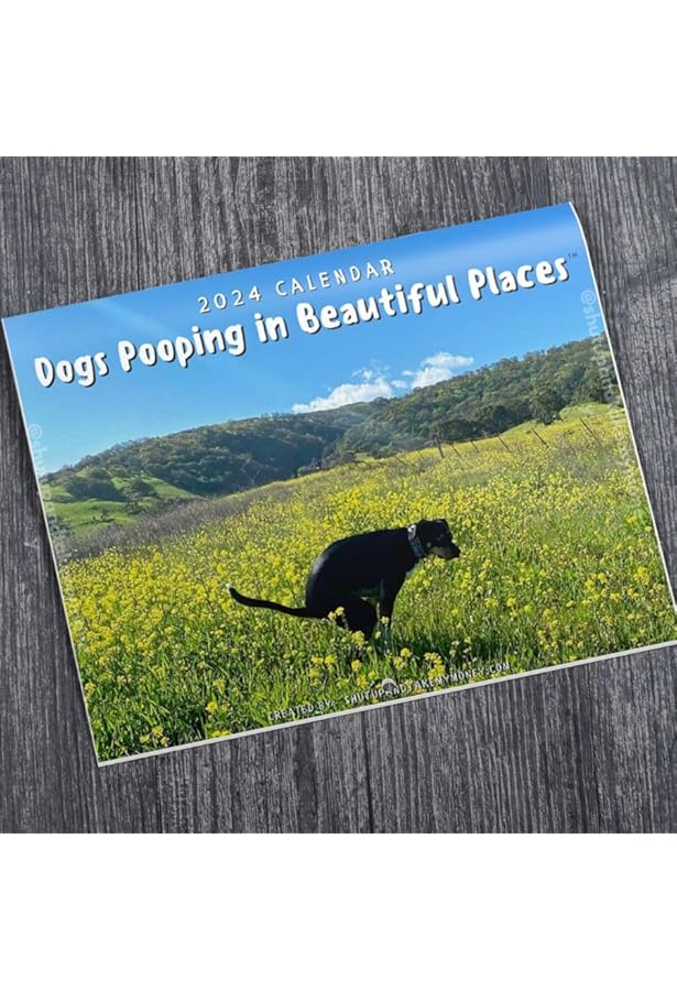 amazon-com-2024-wall-calendar-pooping-desktop-calendar-jan-2024-dec-2024-10-x-15-6-opened-full-page-months-thick-sturdy-paper-for-friends-familys-gift-funny-calendar-organizing-planning-office-products