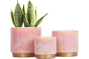 Gepege Pink Indoor Plant Pots for Plants, Ceramic Planter with Drainage Hole, 6.0 inch+5.0 Inch+4.0 Inch. Succulent Orchid Flower Pot - Rainbow Pearl Glaze