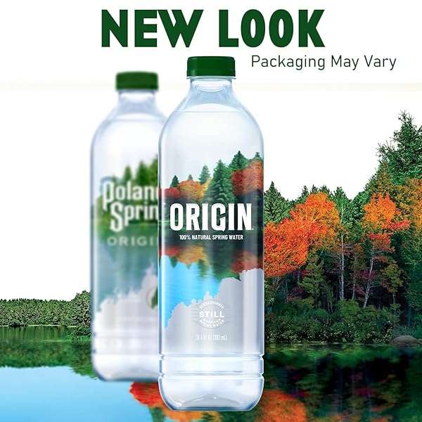 POLAND SPRING SPRING WATER, 30.4 FZ