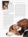 ASPCA Complete Guide to Dogs (Aspc Complete Guide to)