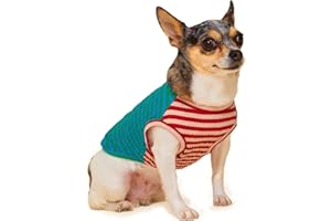 Little Beast Dog Clothes, Dog Clothes for Large Dogs, for Medium Dogs, and for Small Dogs (Dog Shirts Come in Multiple Colors and Styles) - Size: XX-Small Dogs, Green/Blue