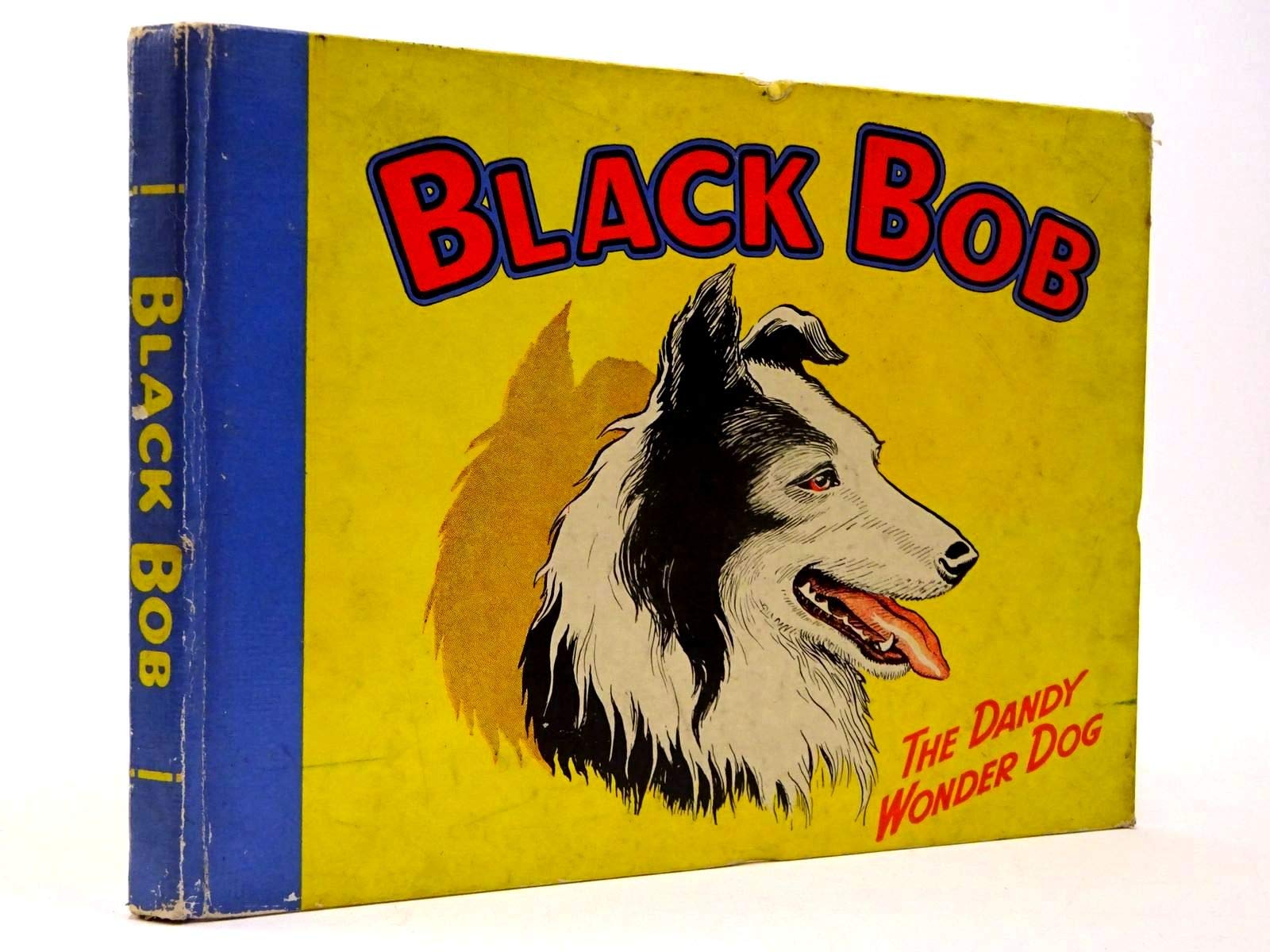 black bob sheepdog
